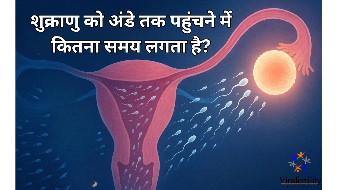 शुक्राणु को अंडे तक पहुंचने में कितना समय लगता है | निषेचन प्रक्रिया | गर्भधारण का सही समय